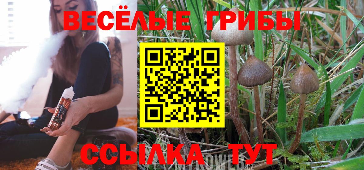 Галлюциногенные грибы ЛСД Комсомольск-на-Амуре